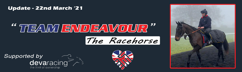 Team Endeavour the Horse – The latest update…