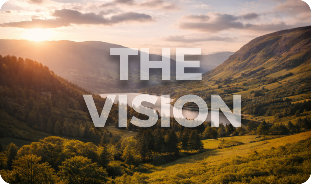 vision